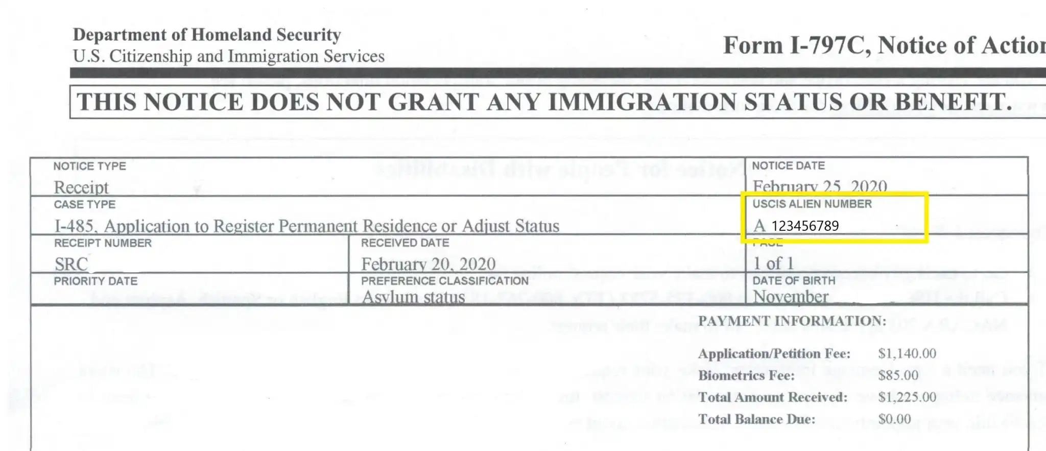 alien registration number on us visa